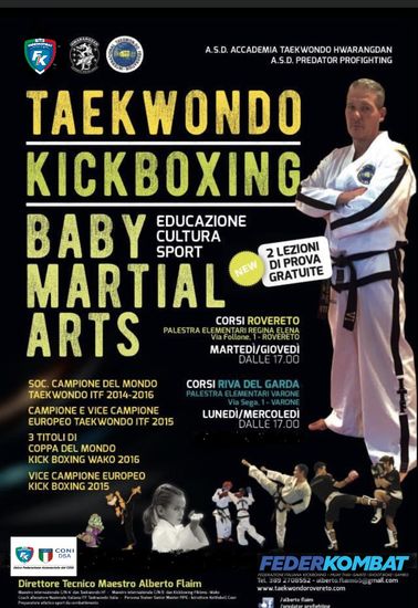 tkd poster acc tkd hwar 2IMG_0987.jpg